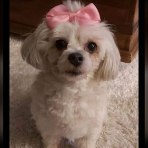 I'm going live, hope to see you